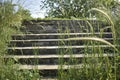 Steps, grass, trees and blue sky