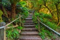 1000 steps in Dandenong ranges, Victoria, Australia