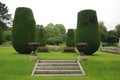 Steps in landscaped garden