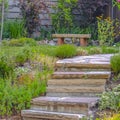 Steps in a landscaped garden on a sunny day