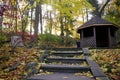 Steps lead to the canopy. Autumn leaf colour in October with lens flare Royalty Free Stock Photo