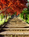 Steps leading to Arakura Fuji Sengen Jinja shinto shrine located on the mountainside of Mt.