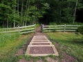 Steps Leading to Gate entrance to Dark and Mysterious Forest Royalty Free Stock Photo