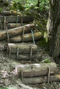 Stepped descent made of logs from a slope in the forest