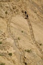 Steps Masada