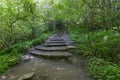 Steps on a muddy footpath lead up towards Mallyan Spout Royalty Free Stock Photo