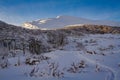 Steps path in snowed forest in the mountain Royalty Free Stock Photo