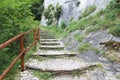 Steps path Royalty Free Stock Photo