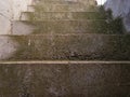 Steps with a patina of green moss