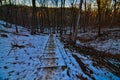 Steps on the pine cliff nature trail