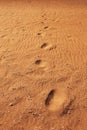 steps on the sand in the desert