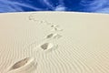 Steps in the sand of the Dune du Pyla, France Royalty Free Stock Photo