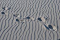 Steps on Sand Dunes Royalty Free Stock Photo