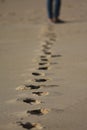 Steps in the sand Royalty Free Stock Photo