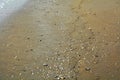 Steps on sand, wet sand and shells, abstract background Royalty Free Stock Photo