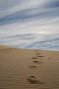 steps sanddune