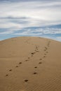 steps sanddune