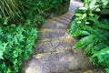 Steps or staircase in the garden. Concept for journey or steps to success Royalty Free Stock Photo