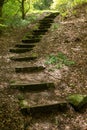 Steps stairs path up in forest climb wooden old steps Royalty Free Stock Photo