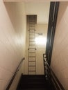 Steps or stairs with white cement wall and tall ladder Royalty Free Stock Photo