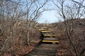 Steps To The Sky,Sand Dunes and Beach Plum.