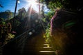 510 steps to Wat Tham Pha Plong Temple, Chiang dao, Chiang mai province