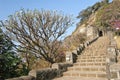 Steps toward Shivneri fort at Junnar