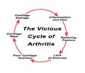 Vicious Cycle of Arthritis