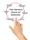 Vicious Cycle of Arthritis