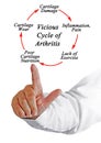 Vicious Cycle of Arthritis