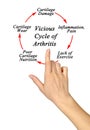 Vicious Cycle of Arthritis