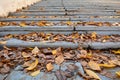 The steps of a white-stone staircase in an old park in autumn, a lot of fallen leaves Royalty Free Stock Photo