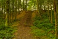 Steps in the woods