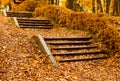 Steps in yellow leaves in autumn Royalty Free Stock Photo