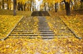 Steps in yellow leaves in autumn Royalty Free Stock Photo