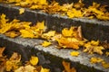 Steps in yellow leaves in autumn Royalty Free Stock Photo