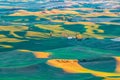 Sunset view of wheat farms in the rolling Palouse hills Royalty Free Stock Photo