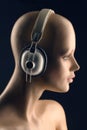 Stereo headphones Royalty Free Stock Photo