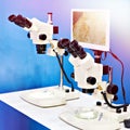Stereo microscopes Royalty Free Stock Photo