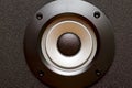 Stereo speakers membrane Royalty Free Stock Photo