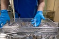 in sterilization department in an operating room, instruments are sorted and cleaned Royalty Free Stock Photo