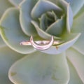 Sterling silver elegant ring in decorative shape Royalty Free Stock Photo