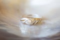 silver ring with zircone stone on pearl shell white background
