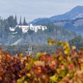 Sterling winery in autumn