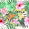 Sterlitzia tropical pattern Royalty Free Stock Photo