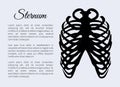 Sternum Bones Poster and Text Vector Illustration