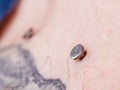 Sternum, cleavage, microdermal, surface piercing on collarbones. Royalty Free Stock Photo