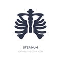 sternum icon on white background. Simple element illustration from Medical concept