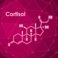 Steroid hormone cortisol Royalty Free Stock Photo