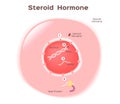 Steroid hormone in human Royalty Free Stock Photo